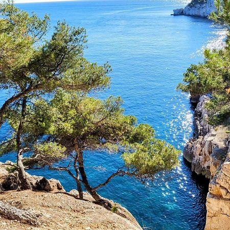 Le Paradis Bleu Calanque De Figuieres, Paddle Et Veranda 昂叙埃拉雷东 外观 照片