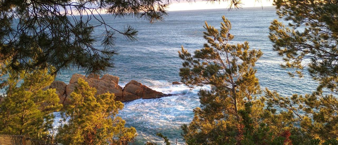 Le Paradis Bleu Calanque De Figuieres, Paddle Et Veranda 昂叙埃拉雷东 外观 照片