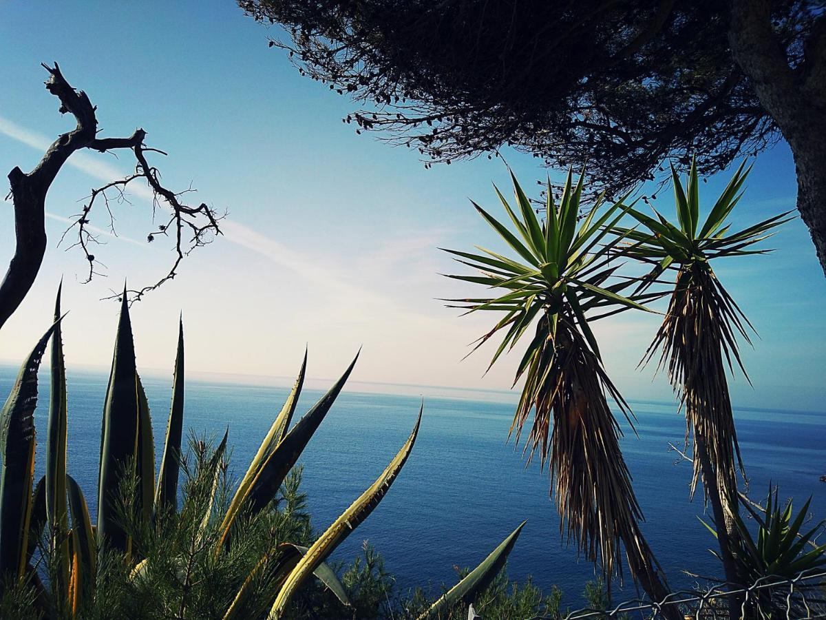 Le Paradis Bleu Calanque De Figuieres, Paddle Et Veranda 昂叙埃拉雷东 外观 照片